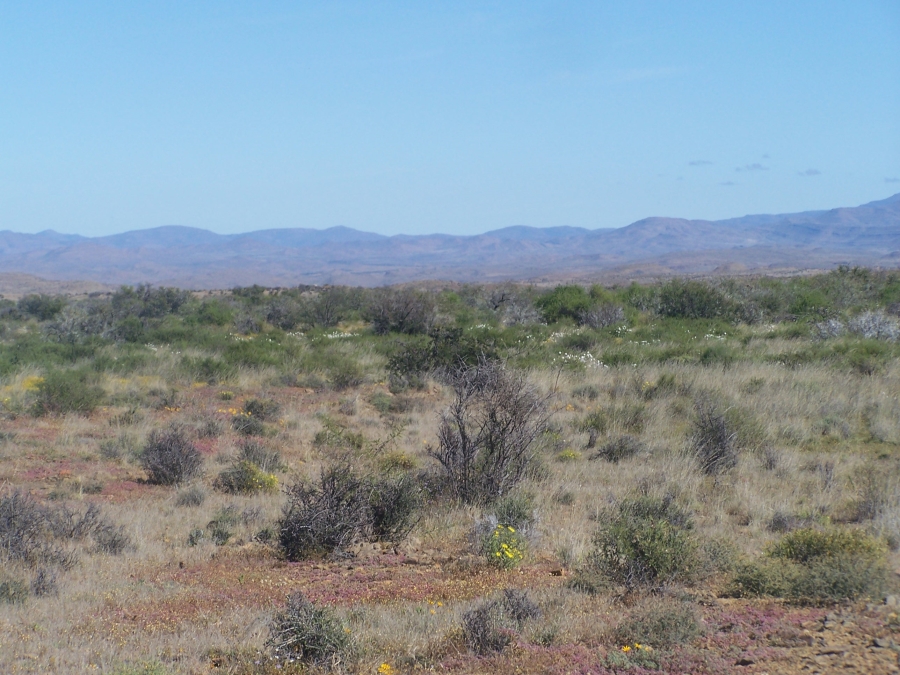 Commercial Property for Sale in Prince Albert Rural Western Cape